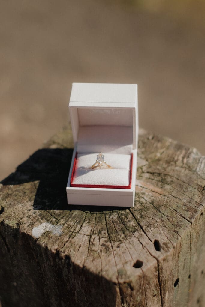 Ben lyndsey proposal 002