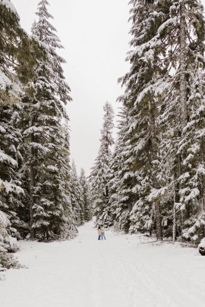 couple standing together on a snow covered forest road in Mount Hood National Forest with tall pine trees after snowfall