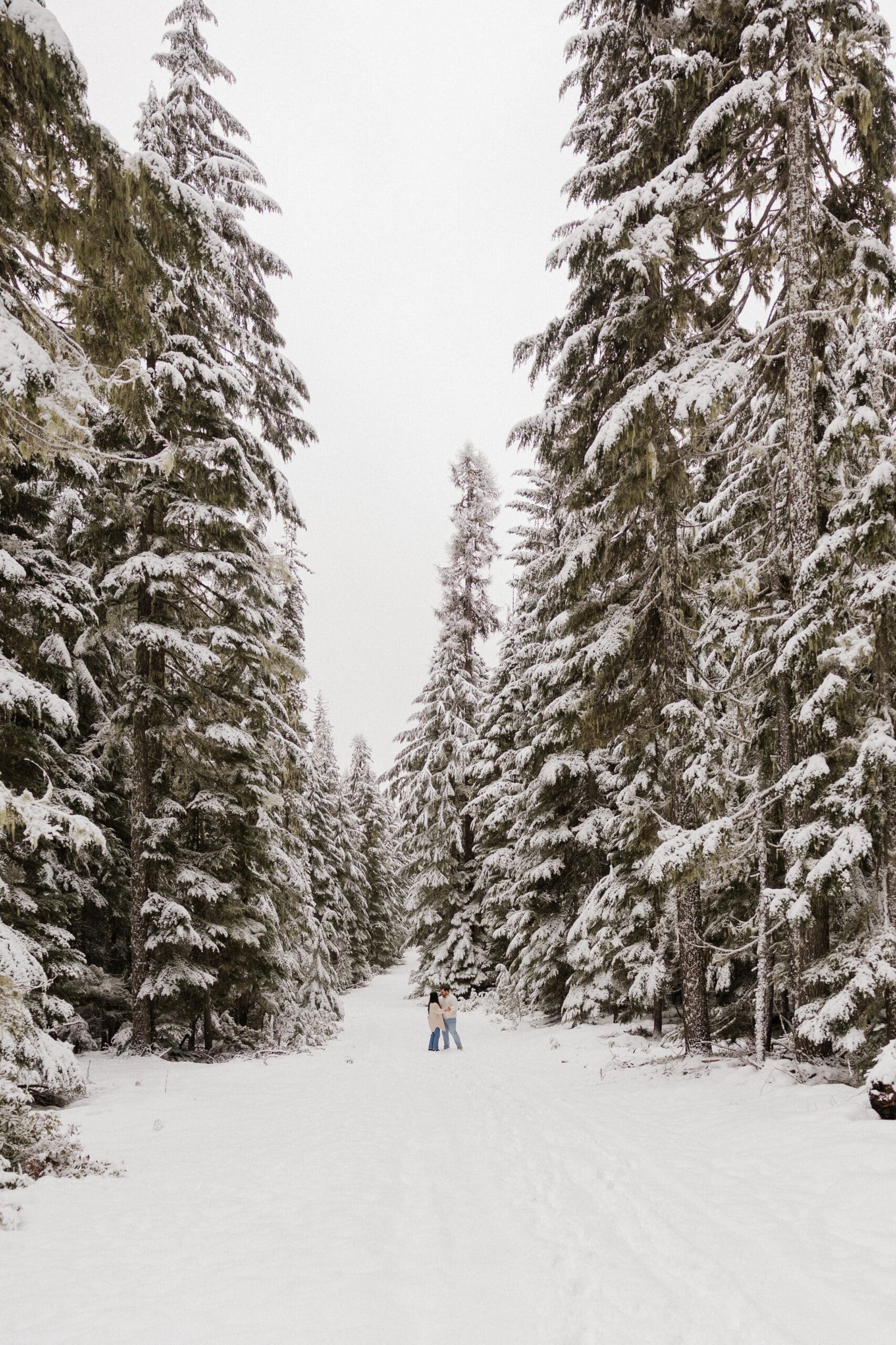 Wide landscape photo of couple standing on snowy road near Mount Hood in Oregon