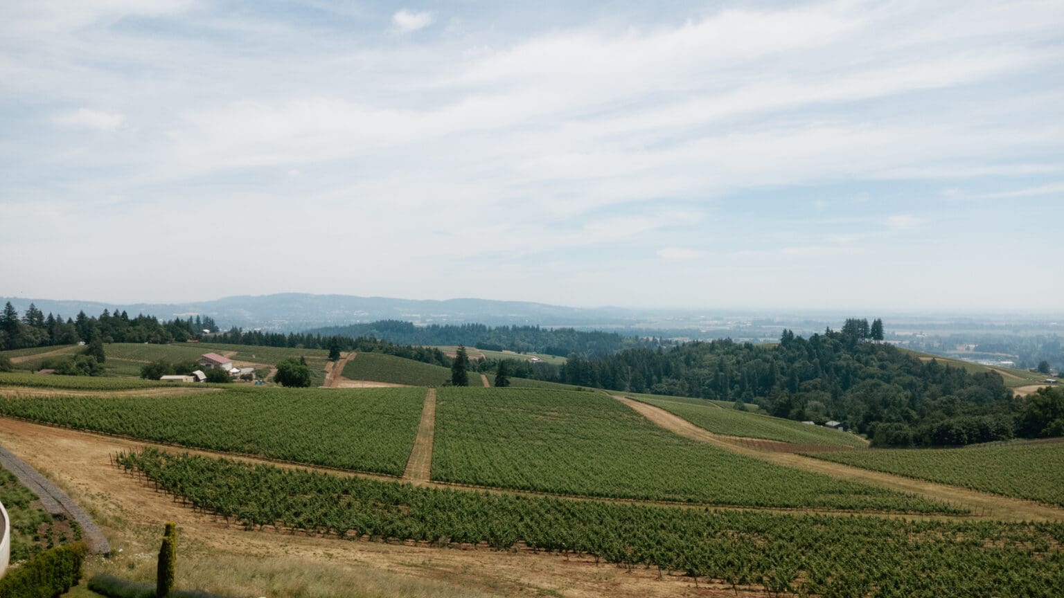 Rolling vineyards and valley views from Black Walnut Inn in Dundee, Oregon under a bright summer sky.